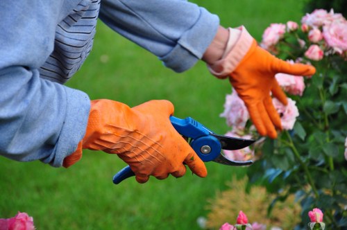 Team performing hedge trimming with safety measures