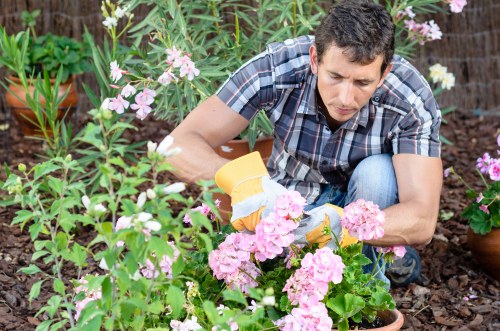 Maintained gardening equipment and safety inspections