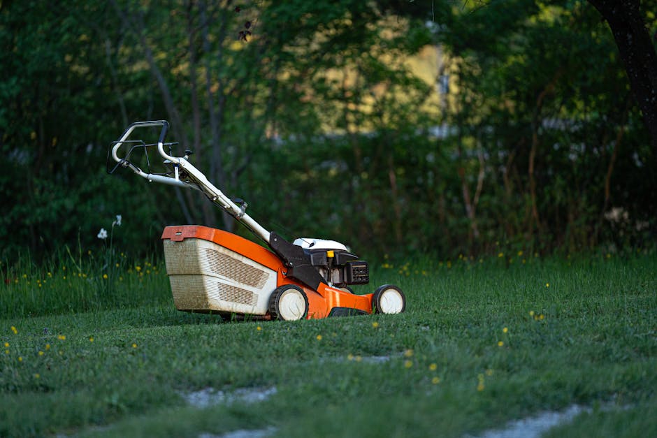 A close-up view of a blue electric lawn mower positioned on a well-maintained grassy lawn in a garden setting, with the photo taken from a low angle near the ground. The lawn mower has a black handleb